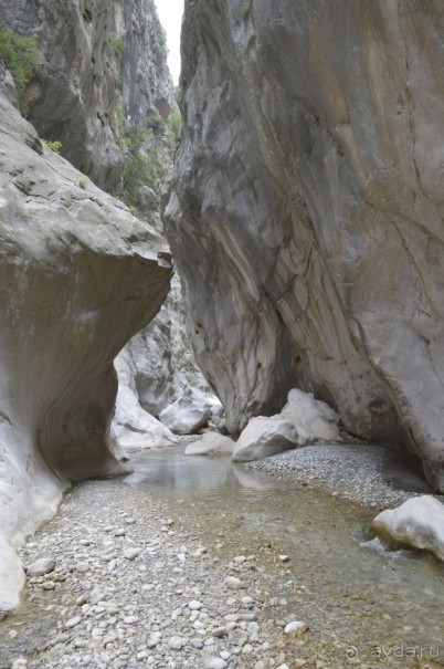 Турецкие каникулы.