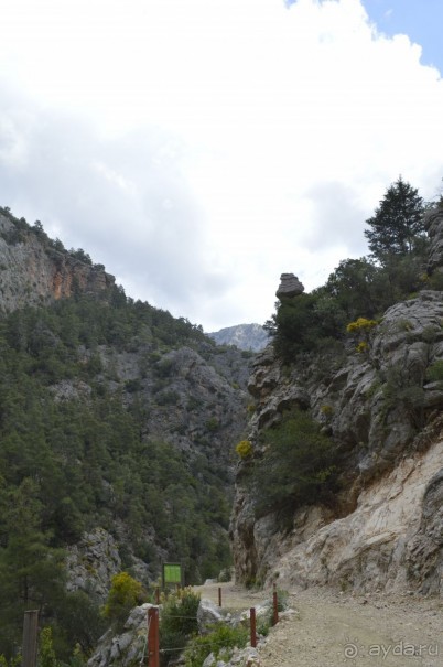 Турецкие каникулы.