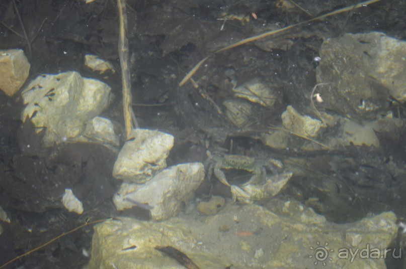 Турецкие каникулы.