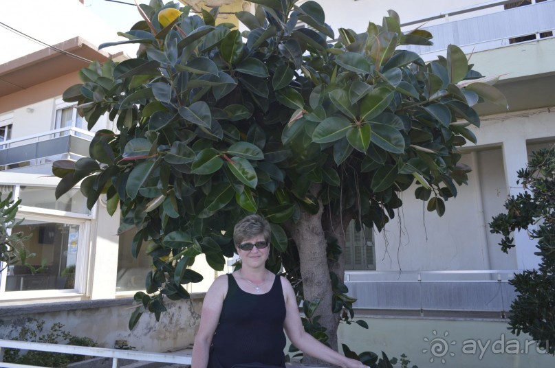 Чудесный остров.! Часть 2.