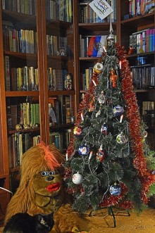 Альбом отзыва "Здесь НОВЫЙ ГОД круглый год !"