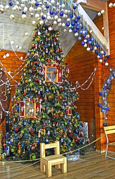 Альбом отзыва "Здесь НОВЫЙ ГОД круглый год !"