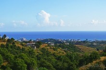 Аланийские "гулялки".