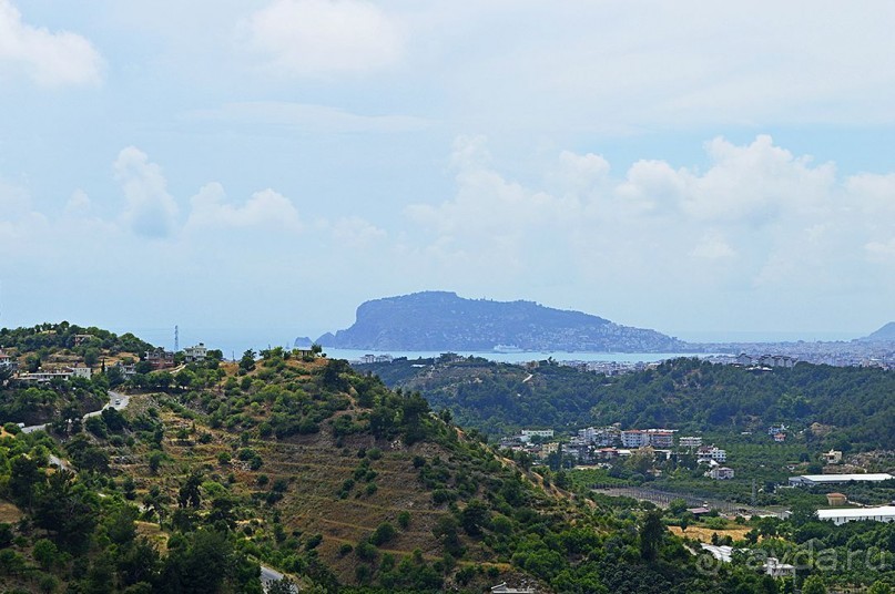 Аланийские "гулялки".