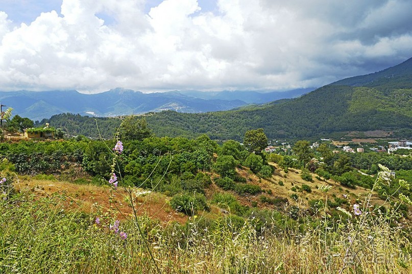 Аланийские "гулялки".