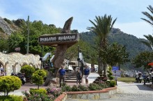 Аланийские "гулялки".