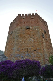 Аланийские "гулялки".