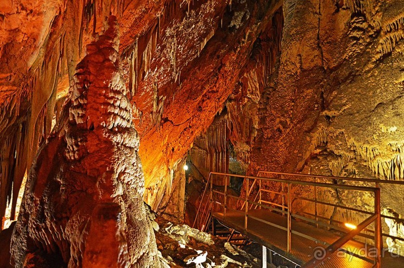 Аланийские "гулялки".