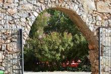 Аланийские "гулялки".