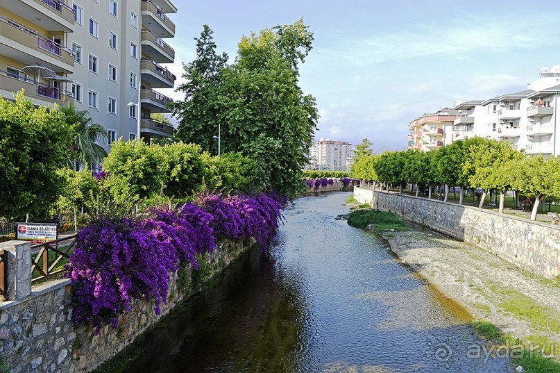 Аланийские "гулялки".