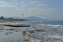 Аланийские "гулялки".