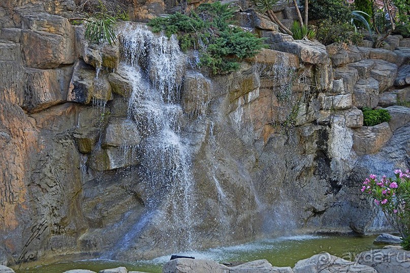 Аланийские "гулялки".