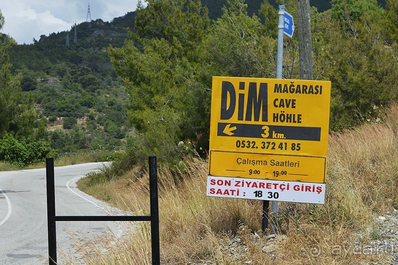 Аланийские "гулялки".