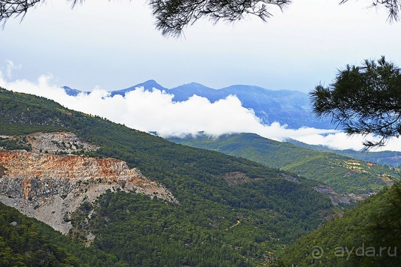 Аланийские "гулялки".