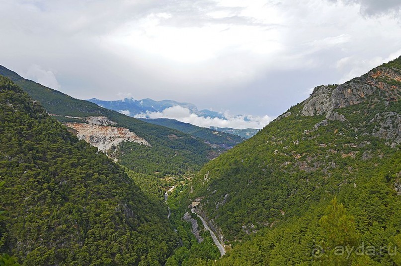 Аланийские "гулялки".