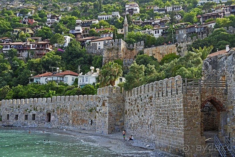 Аланийские "гулялки".