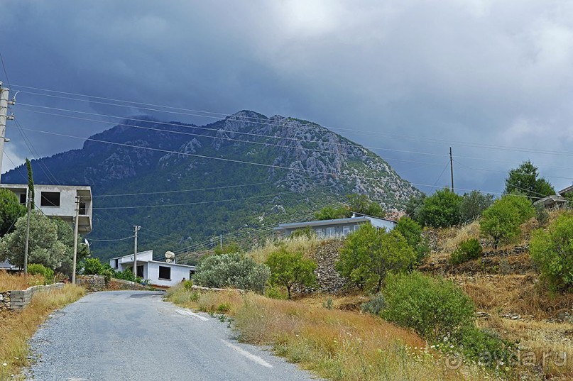 Аланийские "гулялки".