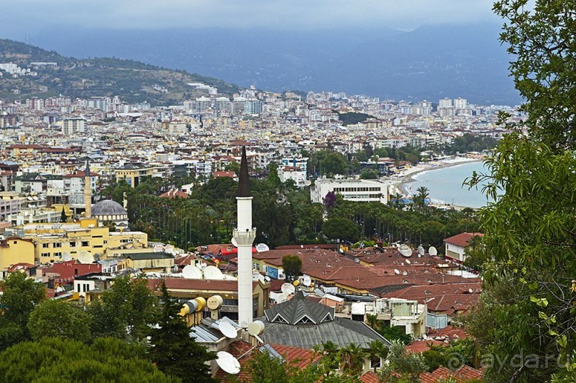 Аланийские "гулялки".