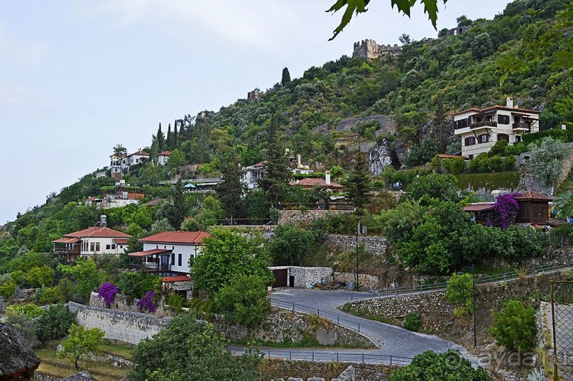 Аланийские "гулялки".