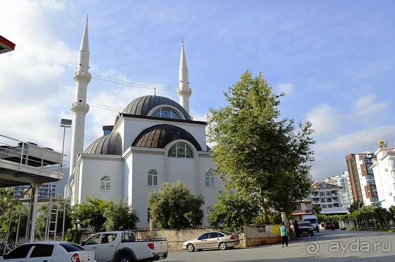 Аланийские "гулялки".