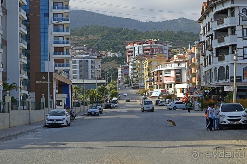 Аланийские "гулялки".