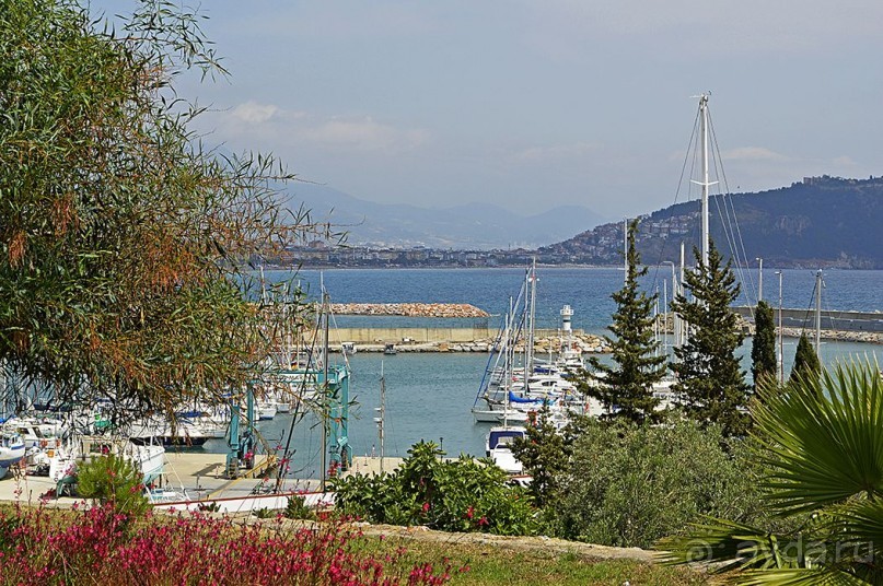 Аланийские "гулялки".