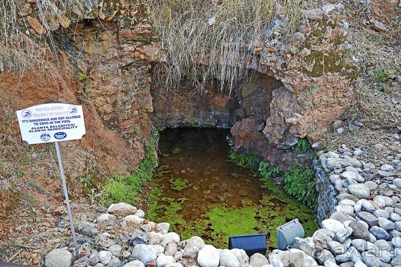 Аланийские "гулялки".