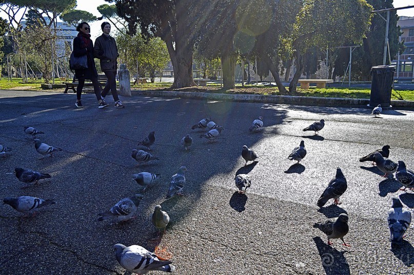 Семь дней в Риме. День 5.