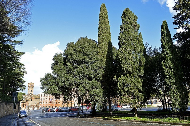 Семь дней в Риме. День 5.