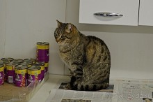 Семь дней в Риме. День 5.