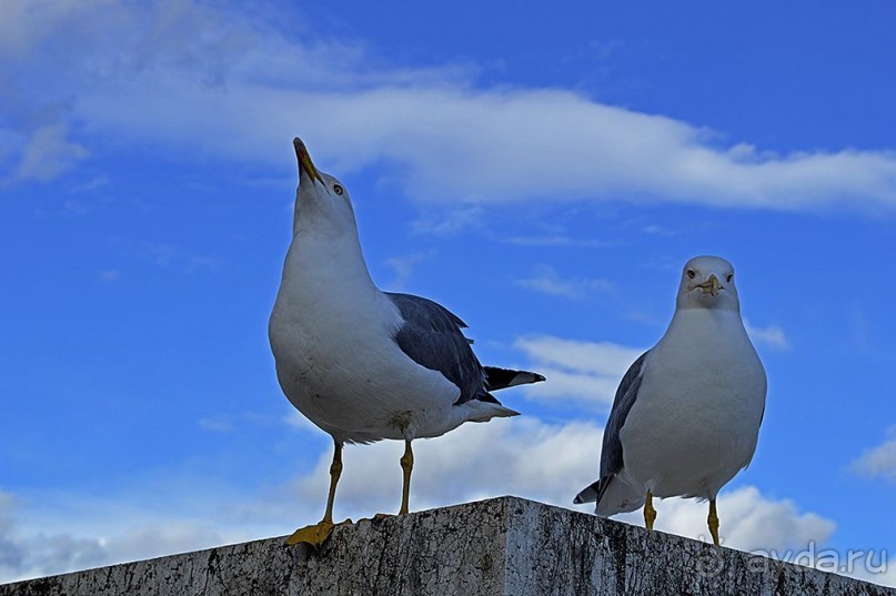 Семь дней в Риме. День 5.