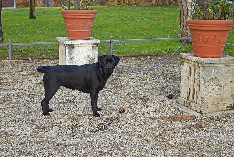 Семь дней в Риме. День 5.