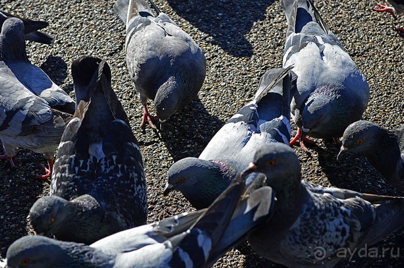 Семь дней в Риме. День 5.