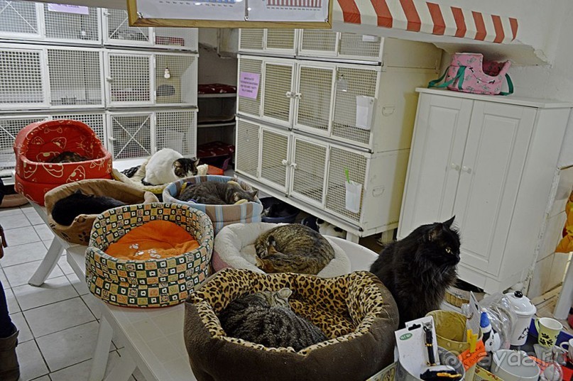 Семь дней в Риме. День 5.