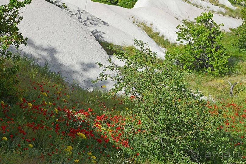 Из Аланьи в Каппадокию (экскурсия).