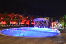 фото Молерите