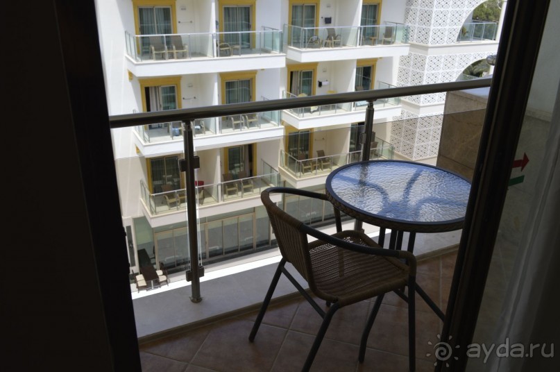 фото Молерите