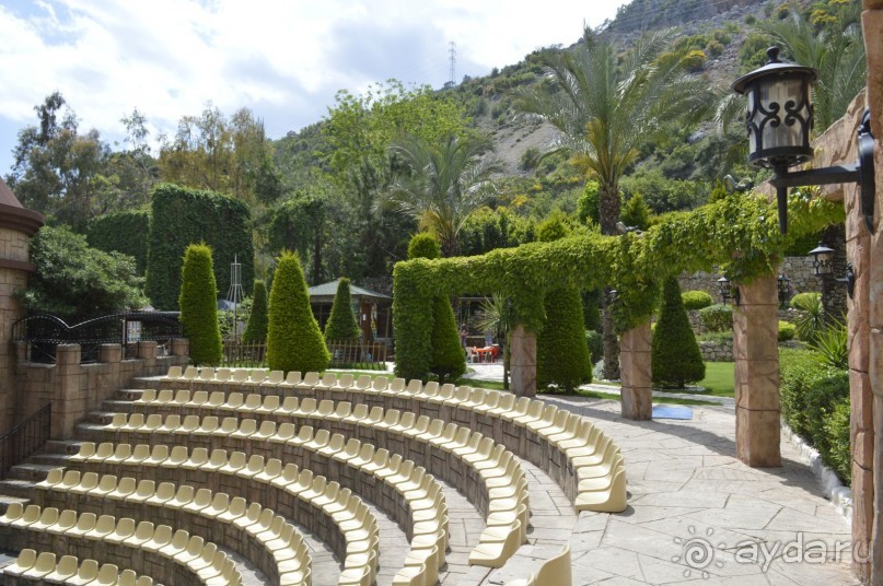 фото Молерите