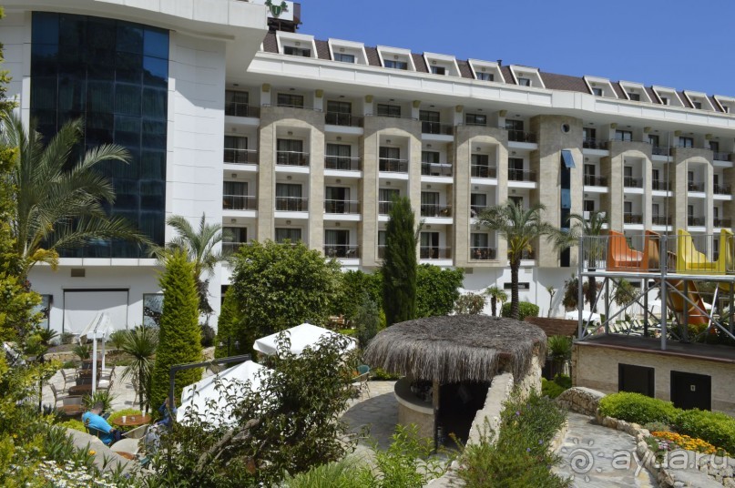 фото Молерите