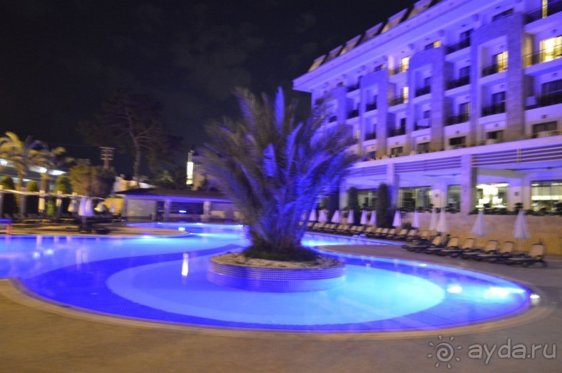 фото Молерите