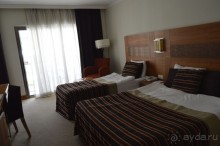 фото Молерите