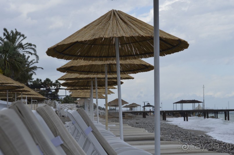 фото Молерите