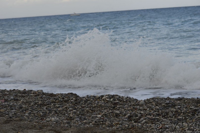 фото Молерите