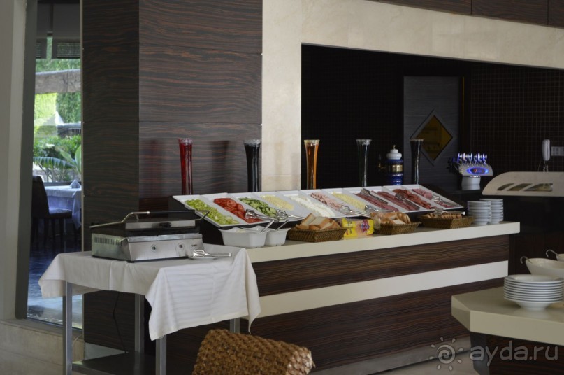 фото Молерите