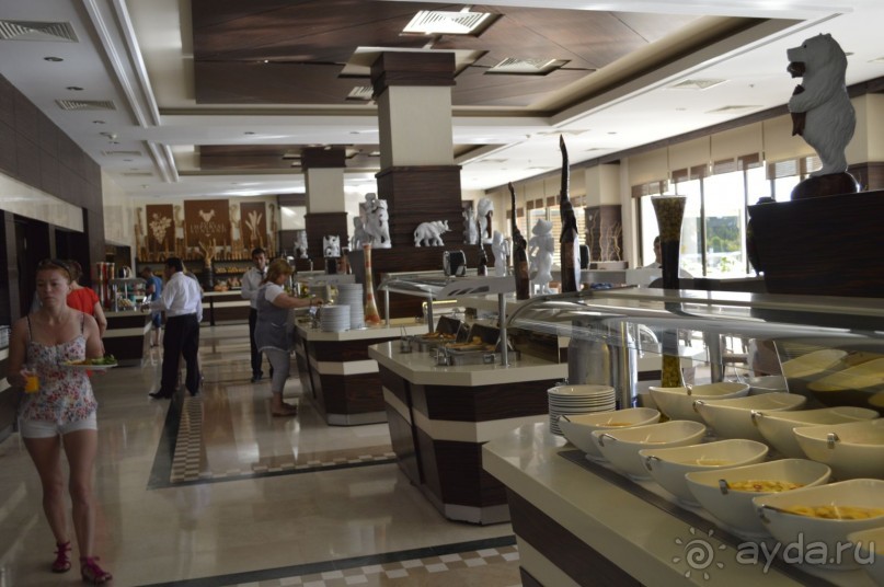 фото Молерите