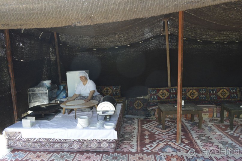 фото Молерите