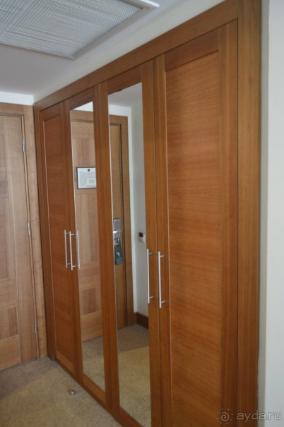 фото Молерите