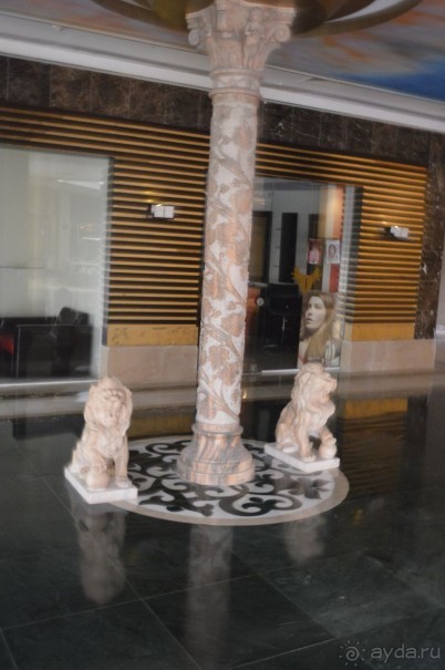 фото Молерите