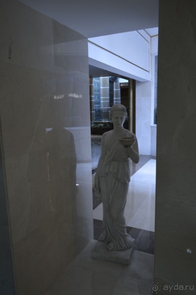 фото Молерите