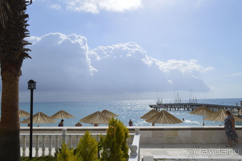 фото Молерите